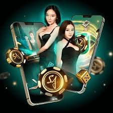 win558